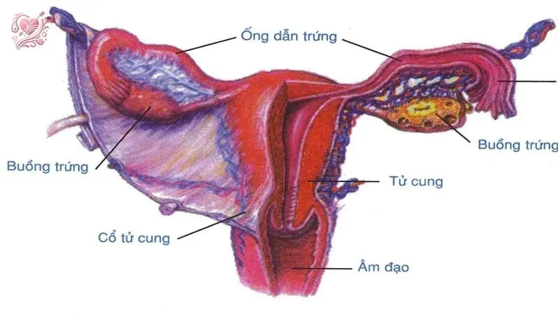 Khi nào cần đi bác sĩ