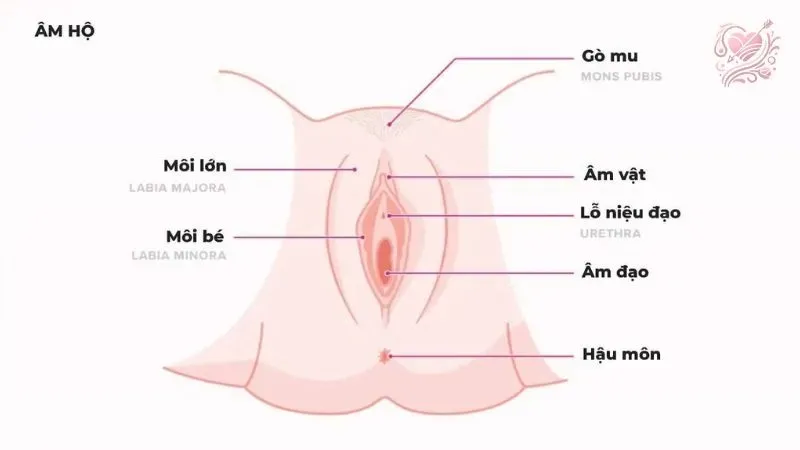 Khi nào cần đi bác sĩ