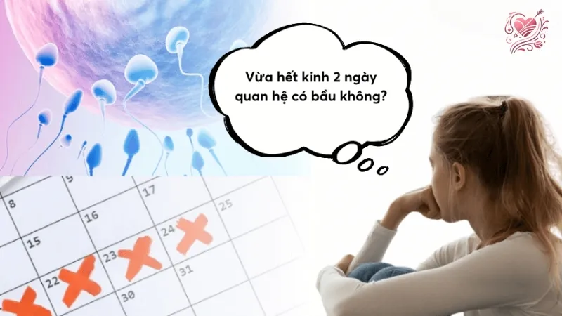 Hết kinh 2 ngày quan hệ có bầu không? Chuyên gia tư vấn