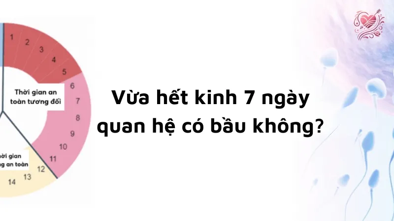 Vừa hết kinh 7 ngày quan hệ có bầu không? Chuyên gia giải đáp