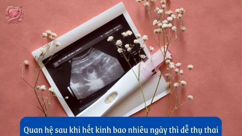 Hết kinh bao lâu thì quan hệ dễ thụ thai? Những điều cần biết