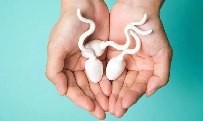 Bảng kết quả phân tích tinh dịch 