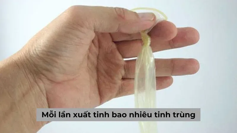 Số lượng tinh trùng bình thường