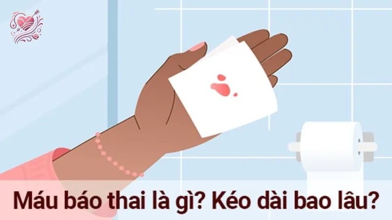 Máu báo thai xuất hiện sau quan hệ mấy ngày? Tìm hiểu ngay