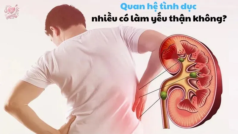 Quan hệ tình dục nhiều có làm yếu thận không?