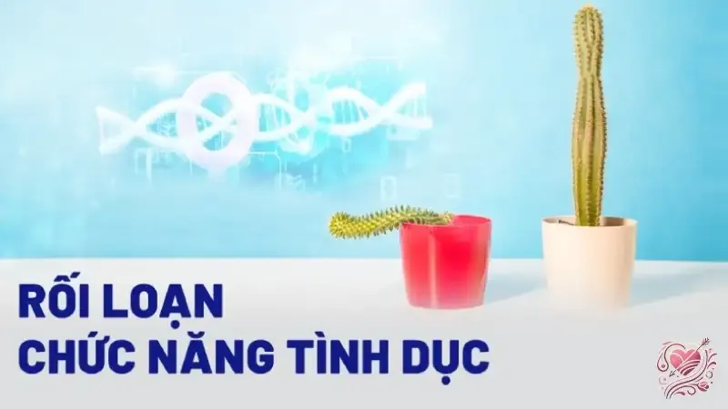 Những dấu hiệu rối loạn chức năng tình dục bạn cần biết