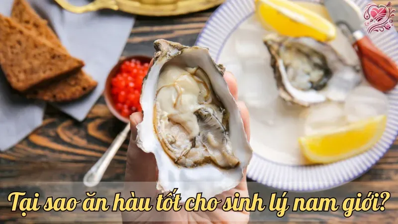Tại sao ăn hàu tốt cho sinh lý nam giới? Khám phá lợi ích cụ thể