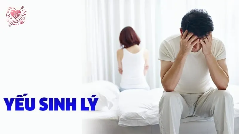 Tại sao bị yếu sinh lý? Những yếu tố ảnh hưởng đến sức khỏe sinh lý