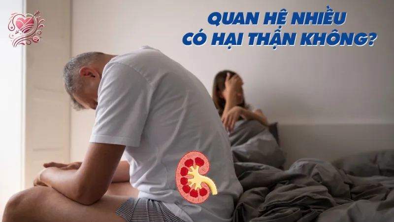 Tình dục nhiều có hại thận không? Giải đáp từ chuyên gia