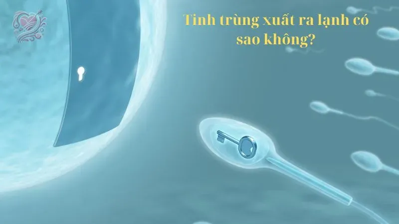 Tinh trùng xuất ra lạnh có sao không?