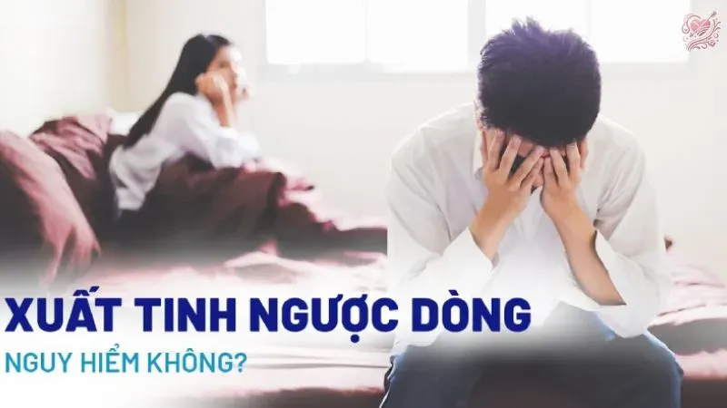 Xuất tinh ngược dòng là gì? Có nguy hiểm không?