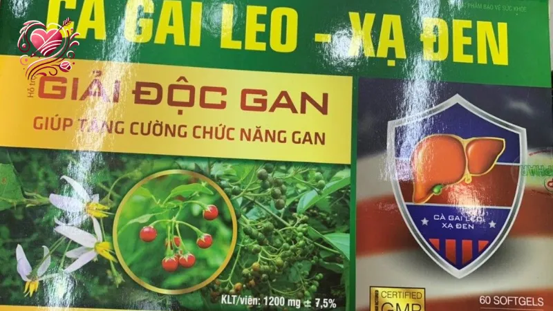 Thực phẩm chức năng cà gai leo có thực sự giúp cải thiện sức khỏe?