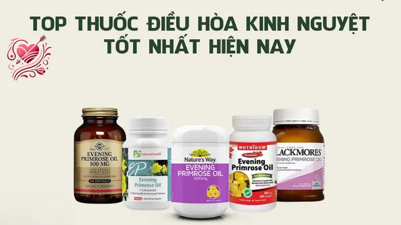 Thực phẩm chức năng điều hòa kinh nguyệt - Các loại và công dụng