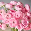 Hình ảnh hoa mao lương rực rỡ và tràn đầy sức sống