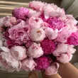 Hình ảnh hoa mẫu đơn lộng lẫy, thanh thoát và sang trọng