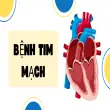 Bệnh tim mạch- Dấu hiệu cảnh báo và cách phòng ngừa sớm
