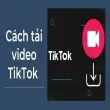 Cách tải video TikTok chất lượng cao cho mọi thiết bị