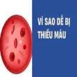 Nguyên nhân gây thiếu máu phổ biến và cách phòng ngừa