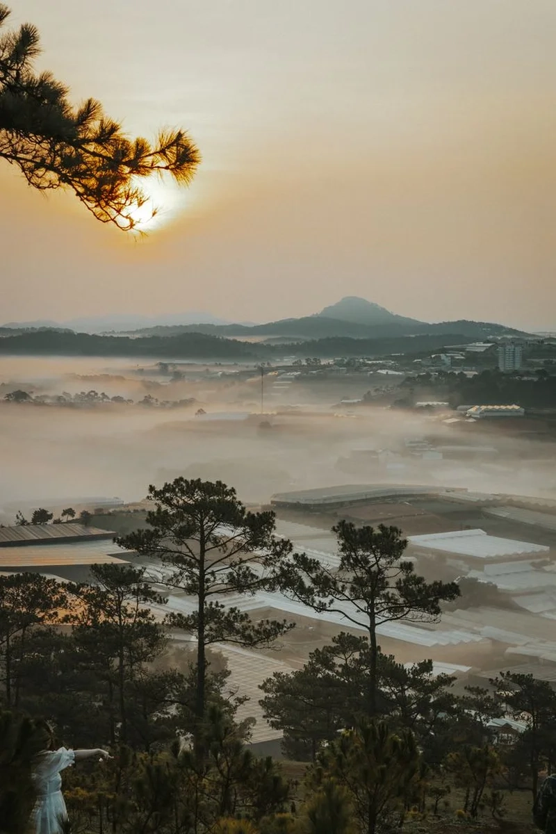 Ảnh avatar hoa lãng mạn tạo điểm nhấn cá nhân