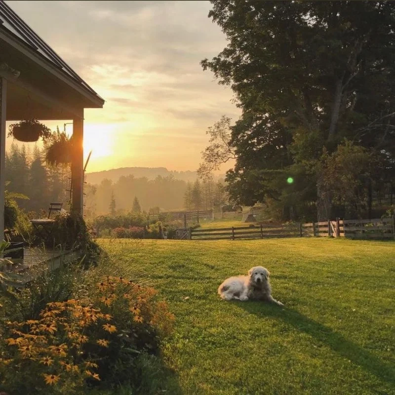 Tận hưởng vẻ đáng yêu với avatar chill cute