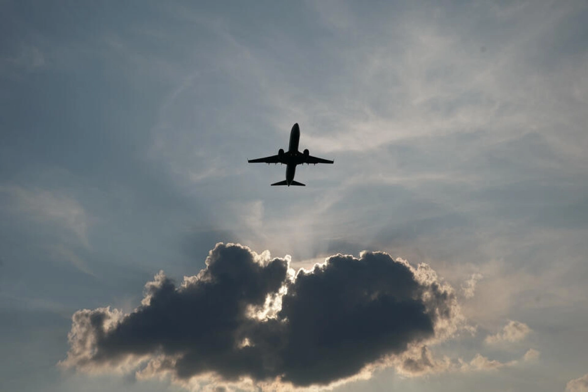 Thưởng ngoạn sắc màu anime với avatar ảnh anime chill lofi