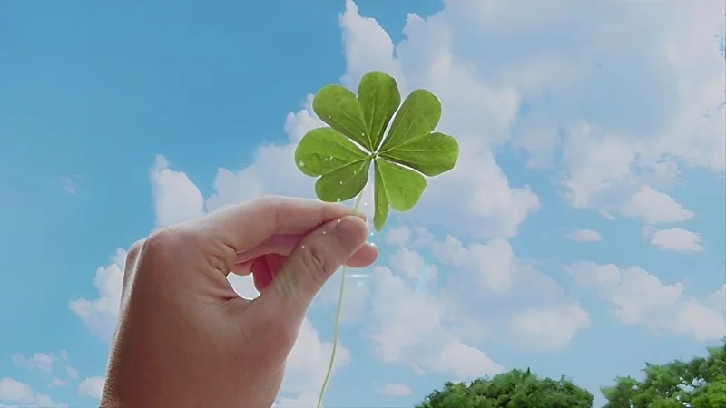 Thêm may mắn với hình ảnh cỏ 4 la may mắn avatar đẹp