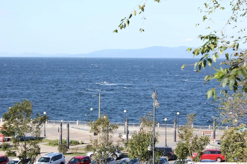 Săn ngay ảnh avatar phong cảnh chill để cảm giác thư thái