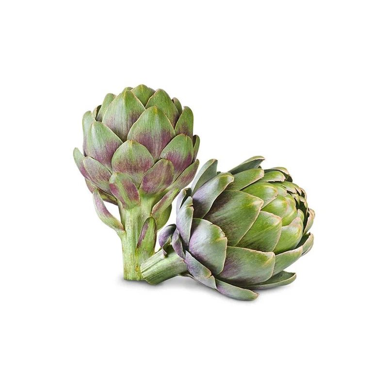 Nổi bật rực rỡ với hoa atiso đỏ