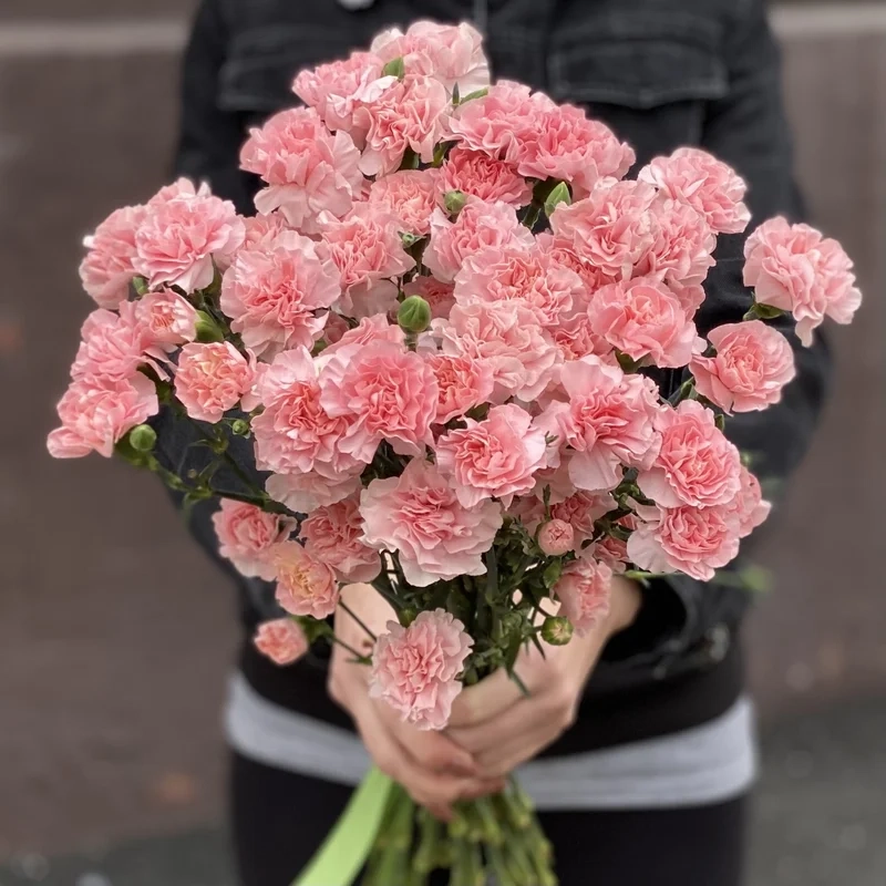 Thưởng thức vẻ rực rỡ từ hình ảnh bó hoa cẩm chướng đẹp