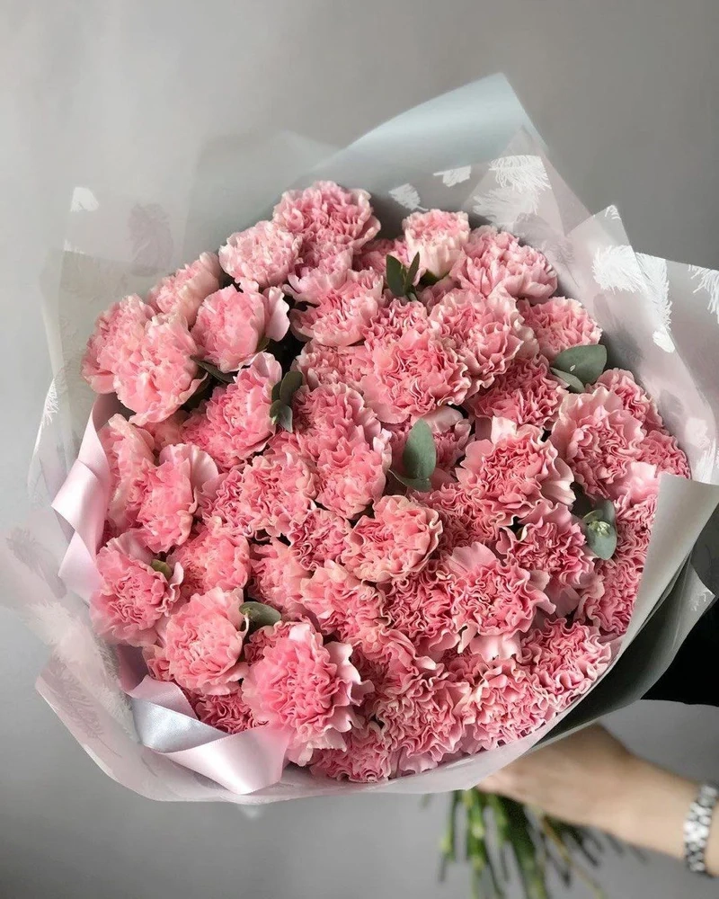 Chiêm ngưỡng thiên nhiên với hình ảnh về hoa cẩm chướng