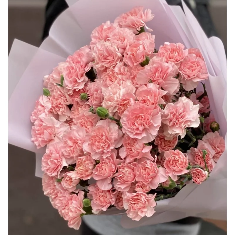 Mùa hè ngọt ngào bên sắc tím là ảnh hoa phăng đẹp