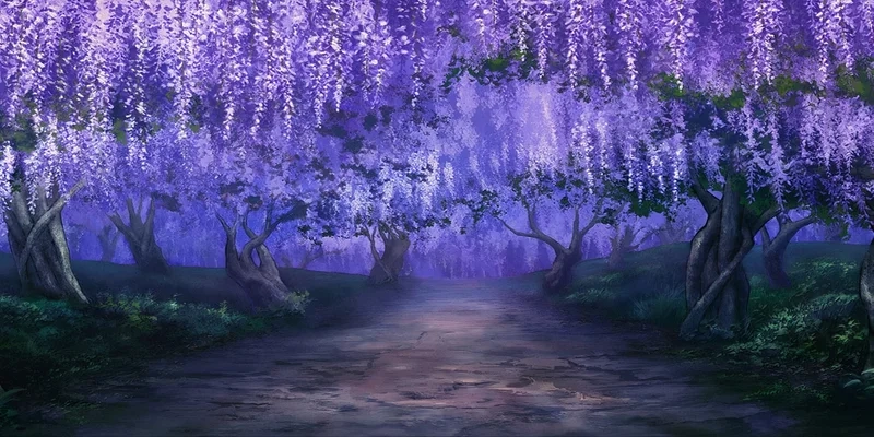 Chiêm ngưỡng hoa đẹp qua ảnh hoa tử đằng anime