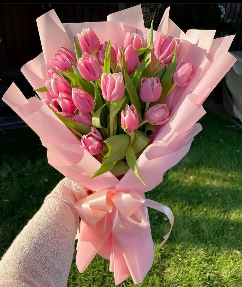 Mỗi khoảnh khắc đều tỏa sáng với hình ảnh hoa tulip cute