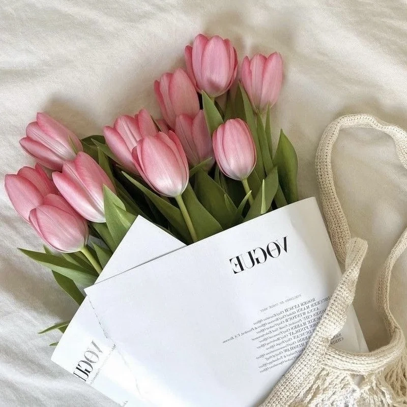 Chiêm ngưỡng vẻ đẹp tuyệt vời trong hình ảnh hoa tulip đẹp