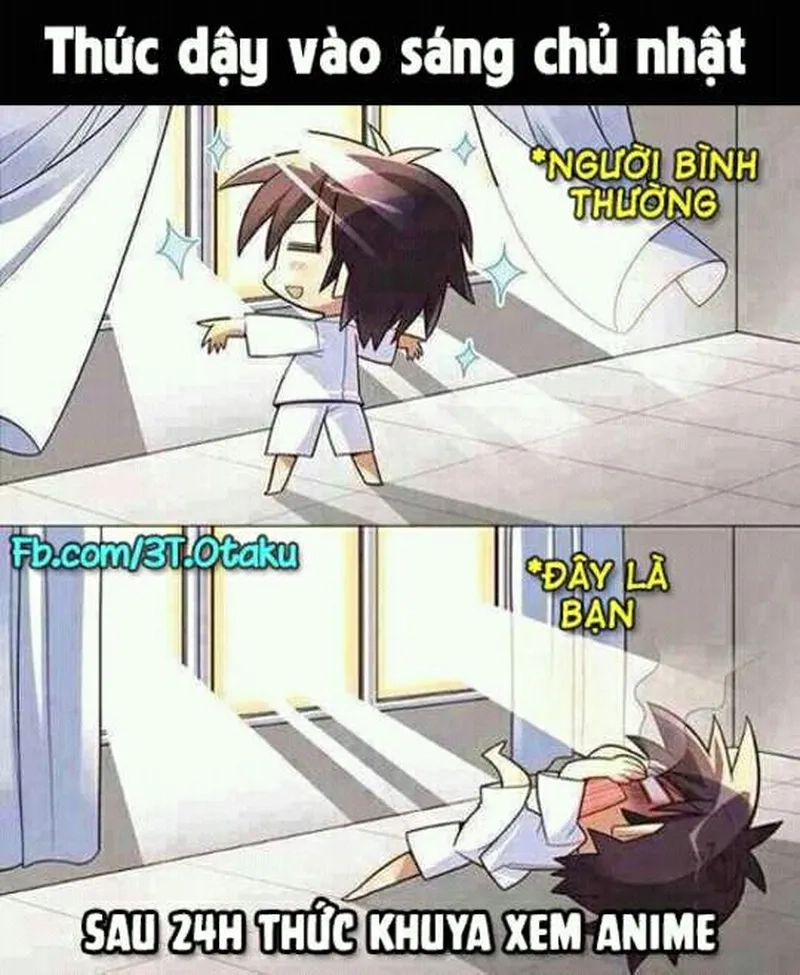 Xem anime khuya cực vui với meme xem anime khuya