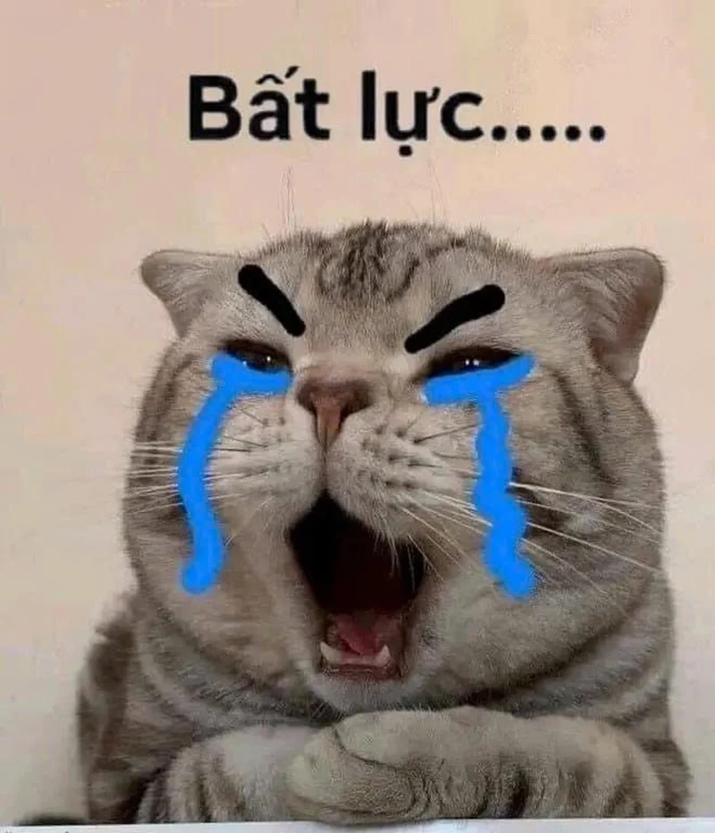 Không còn cách nào khác chỉ biết là meme bất lực chấm com