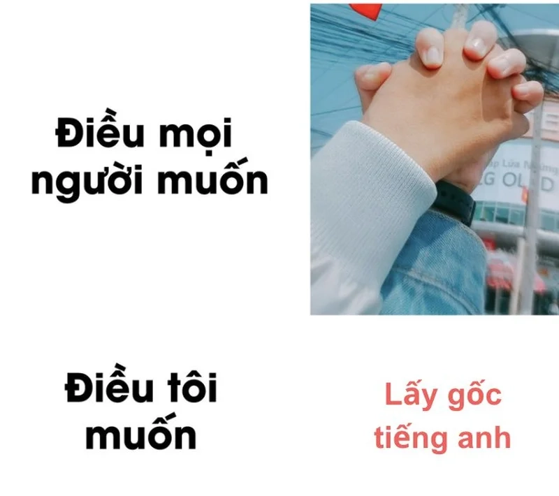 Trải nghiệm phút học hài hước với meme học tiếng Anh