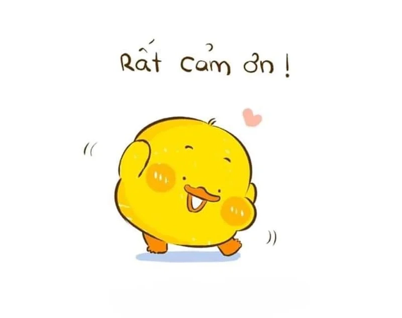 Thả tim với ảnh meme cảm ơn cực dễ thương