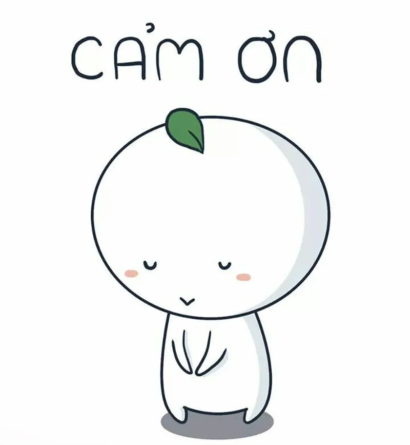 Cảm xúc nhẹ nhàng cùng meme cúi đầu cảm ơn