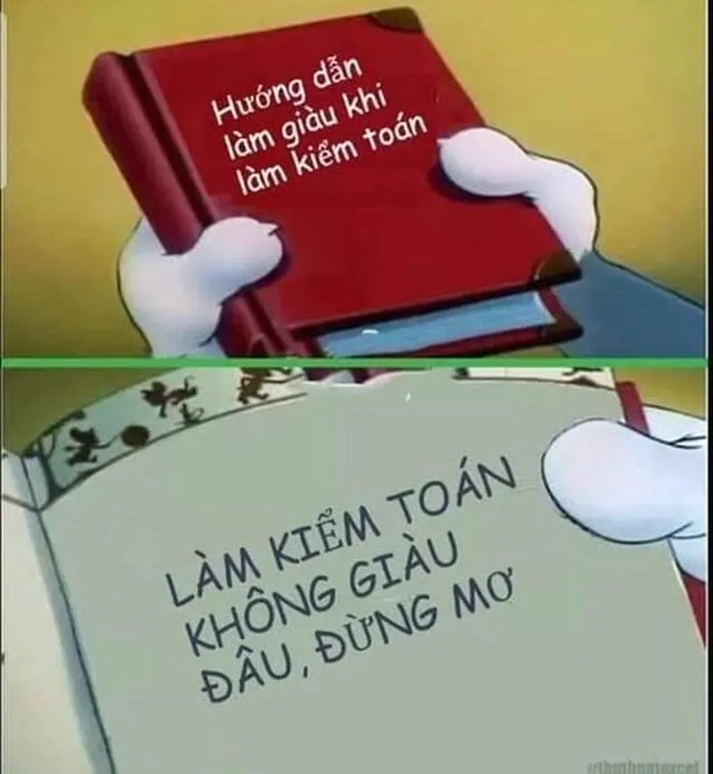Cuộc kiểm tra khiến team meme kiểm toán