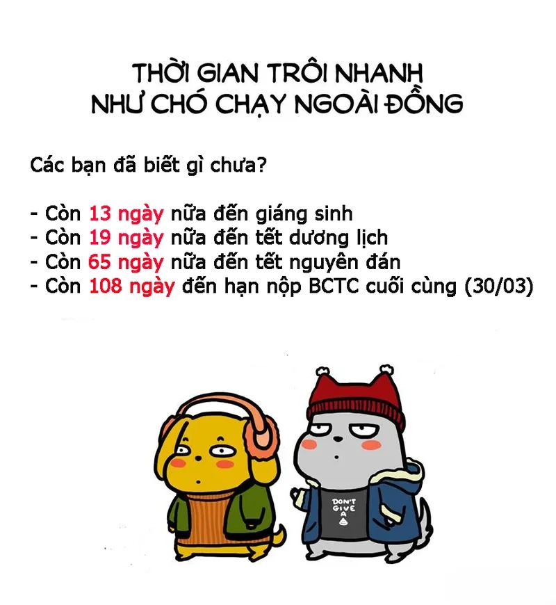 Báo cáo mới làm cả phòng meme báo cáo tài chính