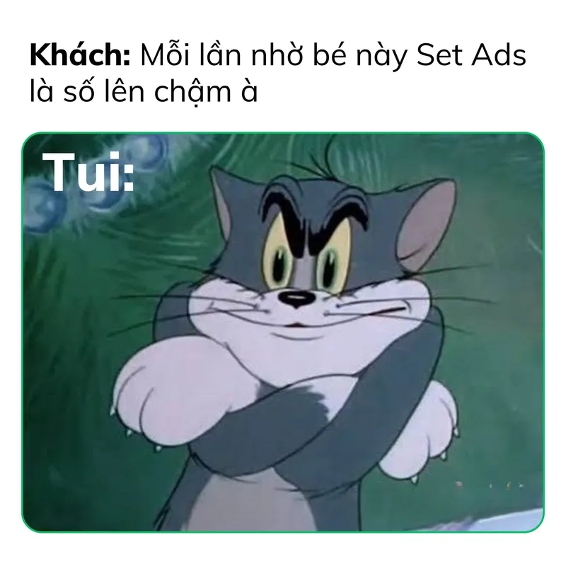 Khi xem chiến dịch tôi thật sự meme chạy ads