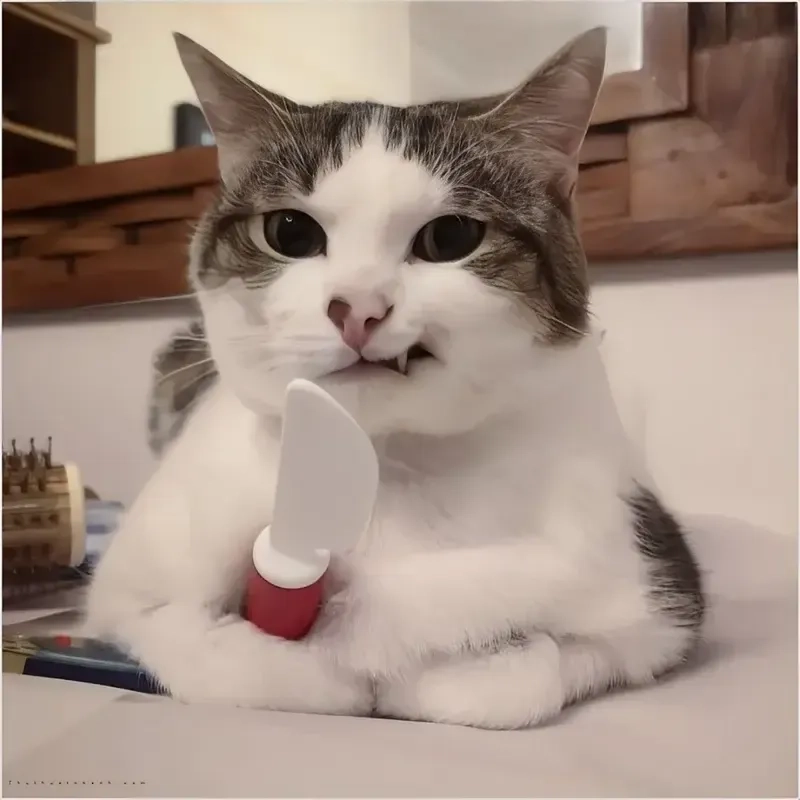 Mèo cầm dao gây cười nhờ meme mèo cầm dao