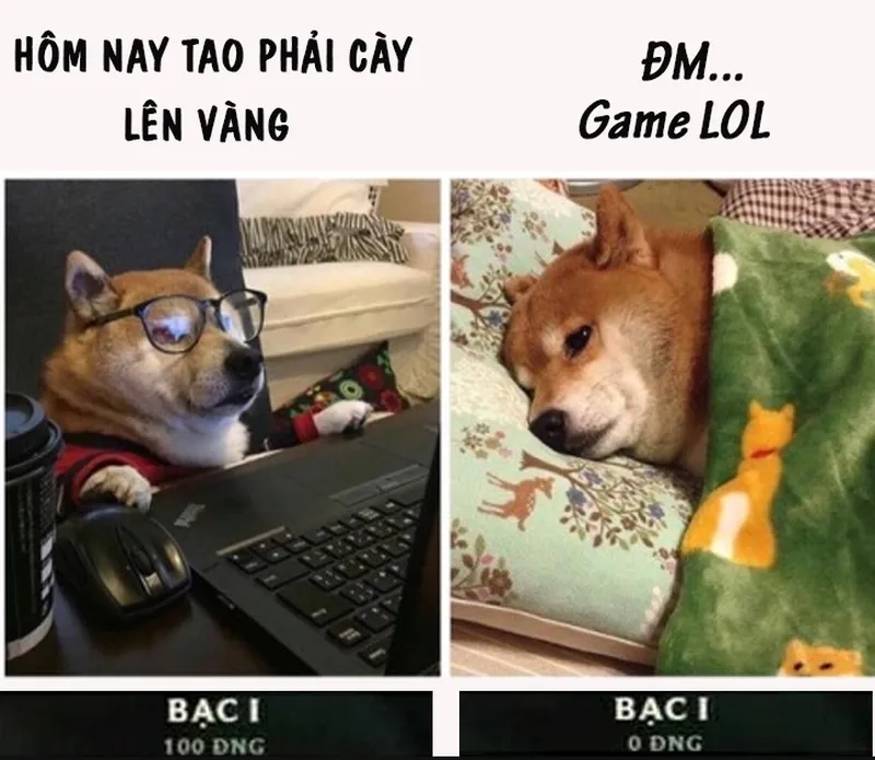 Chiến Liên Quân cực vui tôi meme Liên Quân
