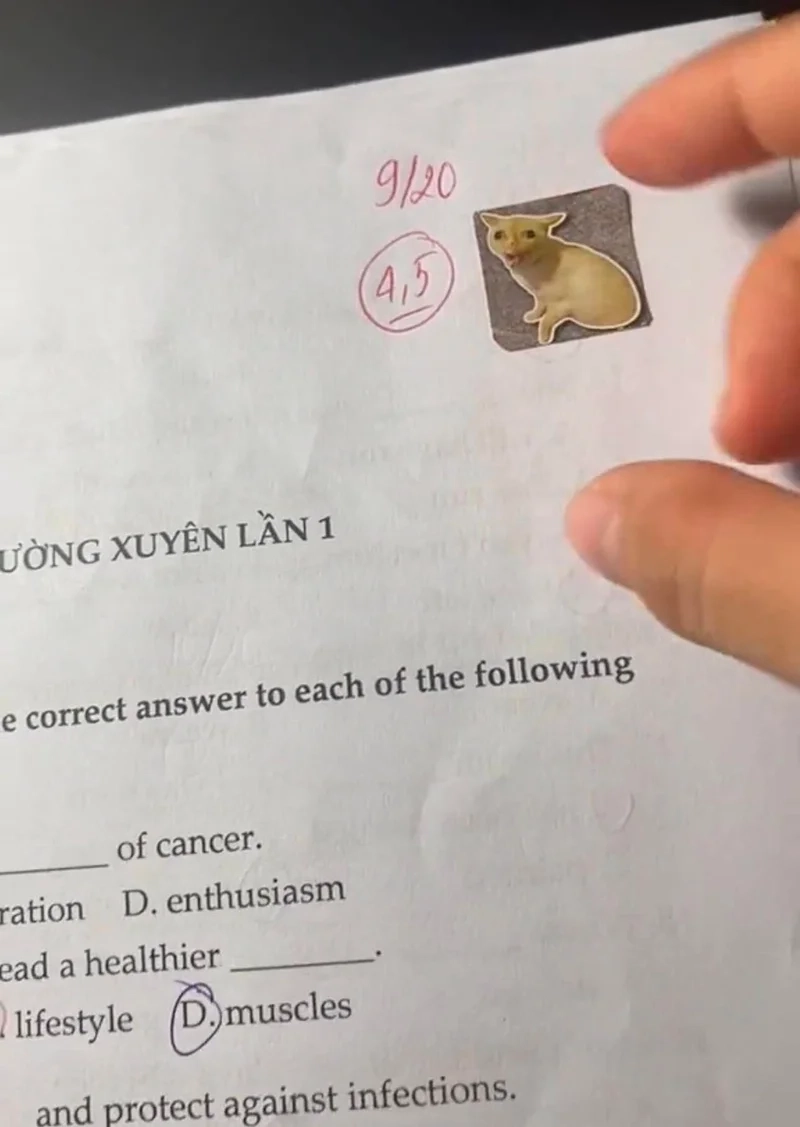 Chấm điểm bài học mỗi ngày là meme chấm bài