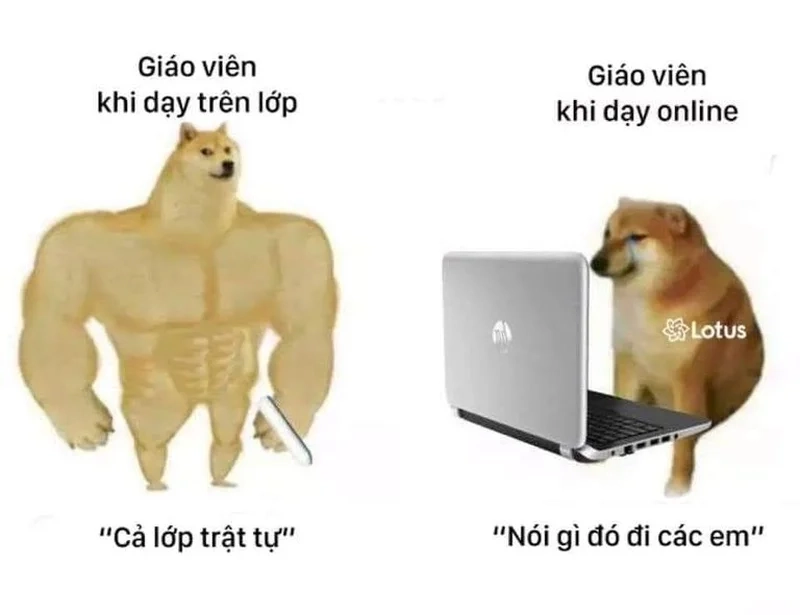 Lặp lại cảnh lớp trật tự là meme 