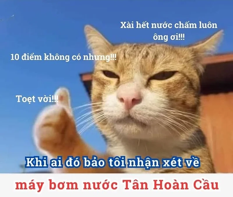 Thả ga cười cùng meme hết nước chấm