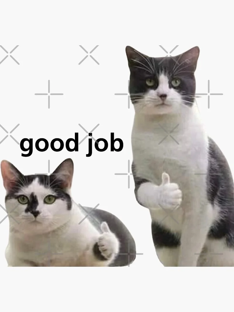 Hài hước tuyệt vời với meme good job