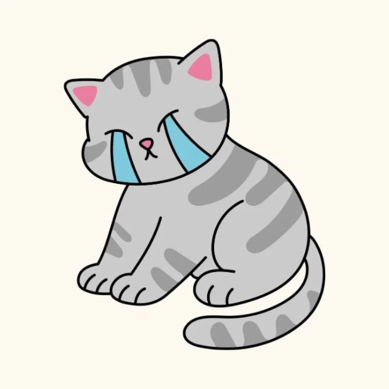 Khi giấu nỗi đau trong lòng là meme khóc trong lòng