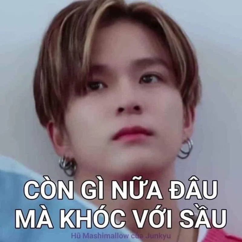 Khi không còn gì để buồn là còn gì nữa đâu mà khóc với sầu meme